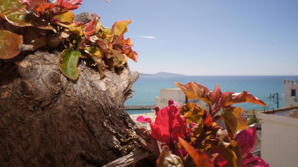 Idi Hotel Agia Galini  Ruang foto